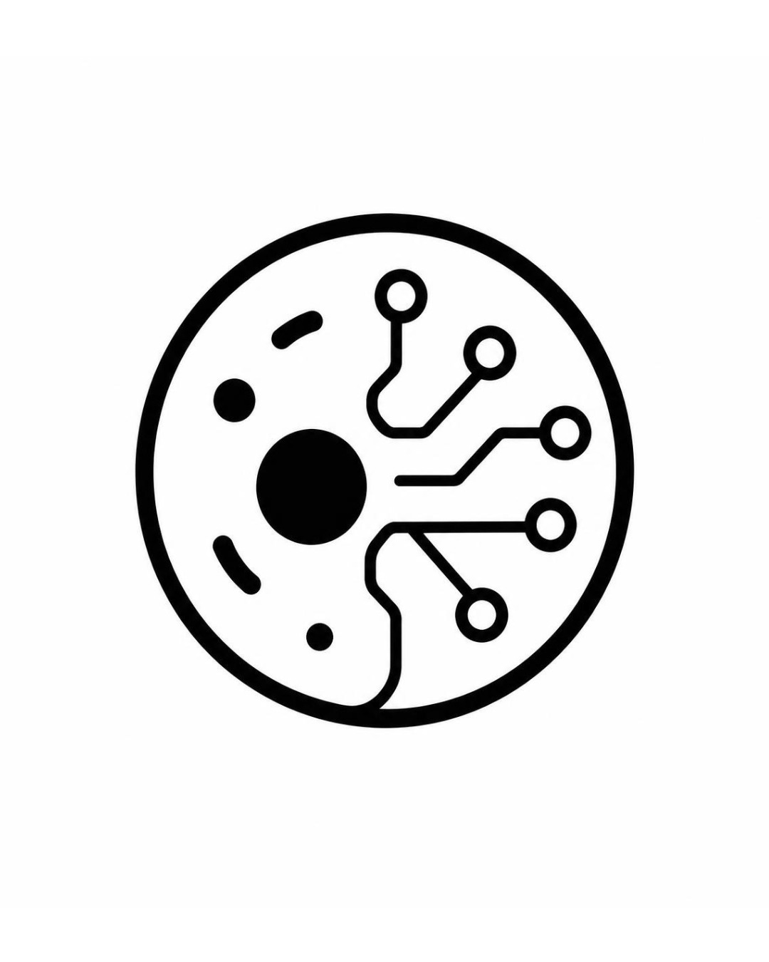 Invivo Lab